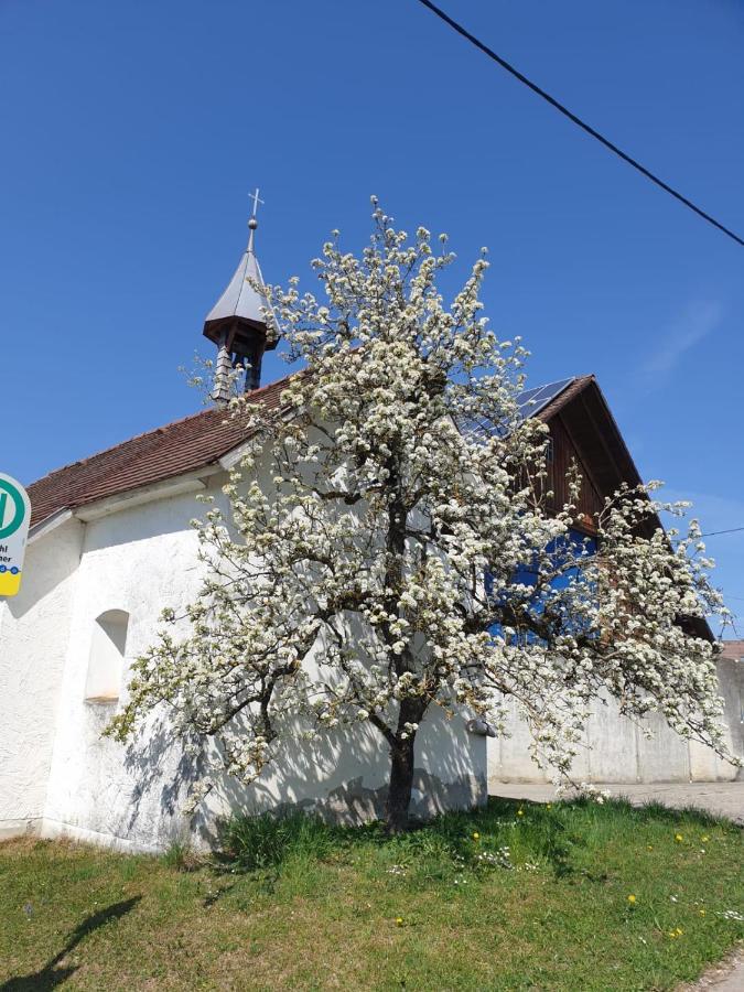 Ferienwohnung Rupp Argenbuhl 外观 照片